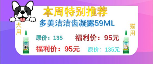 豚鼠的常见疾病和表现8（皮肤病螨虫和真菌）