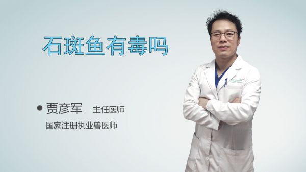 石斑鱼有毒吗