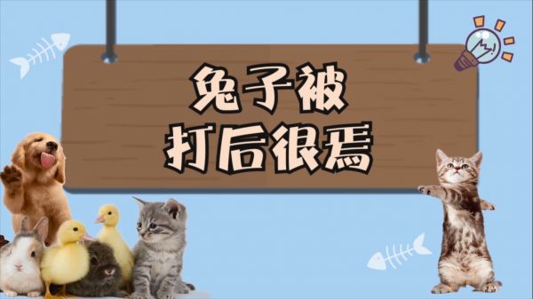 兔子被打后很焉