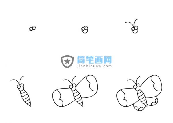 蝴蝶简笔画含分解步骤