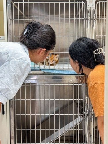在驷马桥！！！后悔没有早点来……