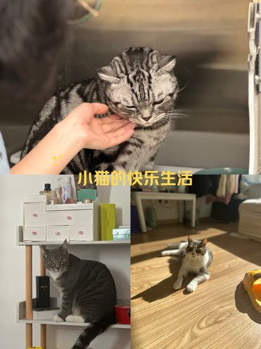 大连市有一家宠物医院