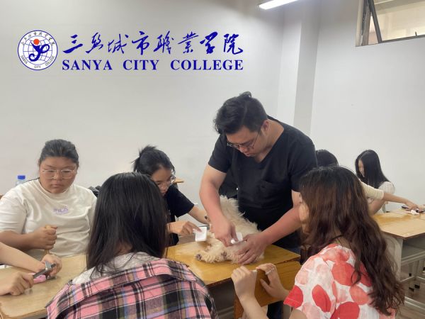 校内实践教学1.jpg