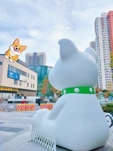 狗狗都有自己的乐园啦[笑哭][笑哭][笑哭]