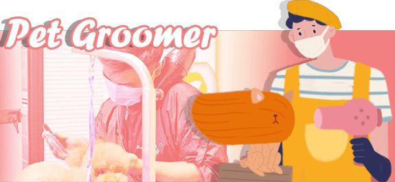 Pet Groomer 宠物美容师