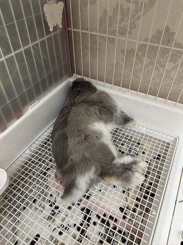 又这样睡觉