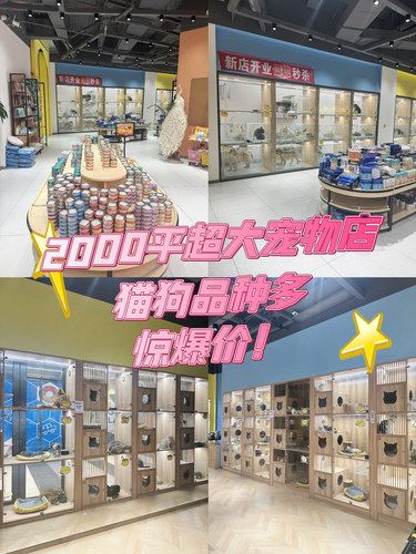 在真如✨✨2000平超大宝藏猫狗购宠店