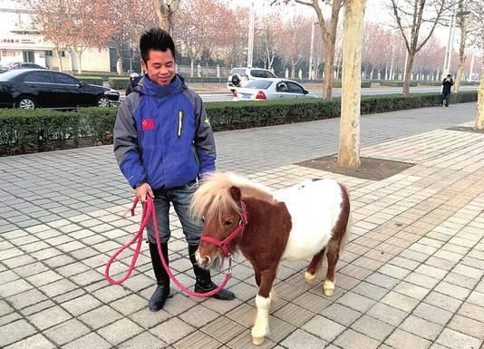 男子领着宠物出来溜达，不料引来许多人围观