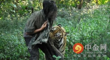男子养老虎当宠物