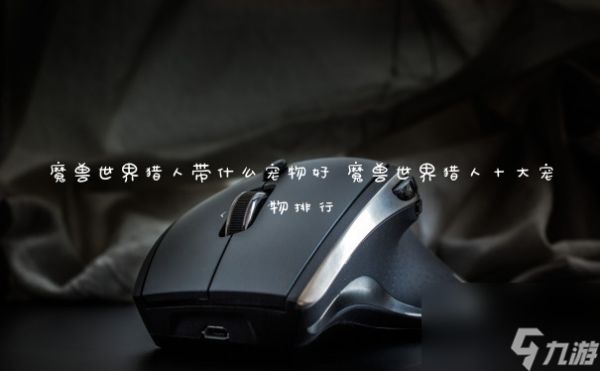 魔兽世界猎人带什么宠物好 魔兽世界猎人十大宠物排行