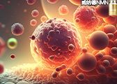 中老年人专享,每天1粒,稳住年轻态
