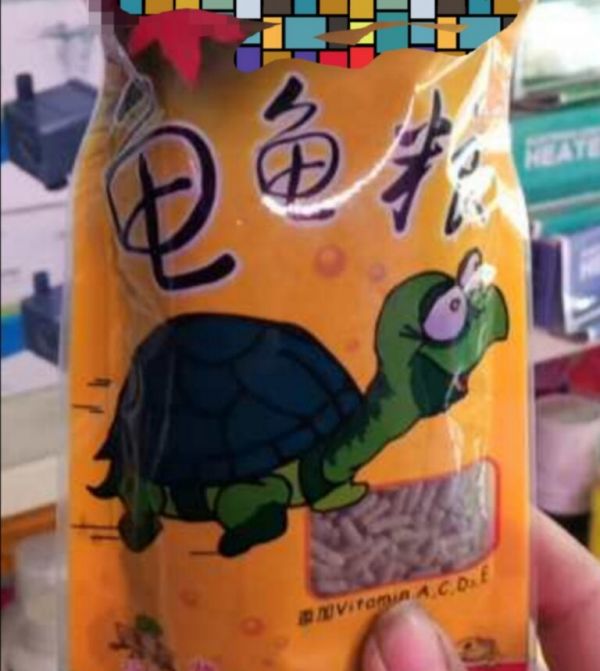 乌龟吃什么食物大全