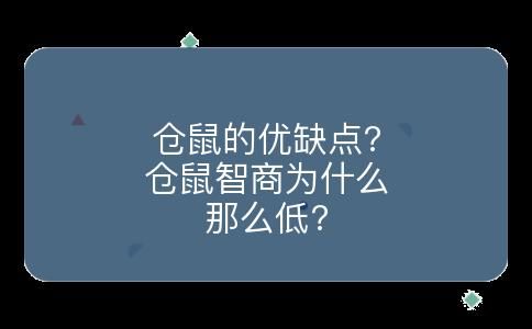 仓鼠的优缺点?仓鼠智商为什么那么低?