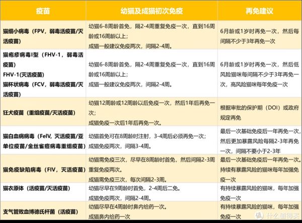 犬猫疫苗注射:守护宠物健康的必要之举