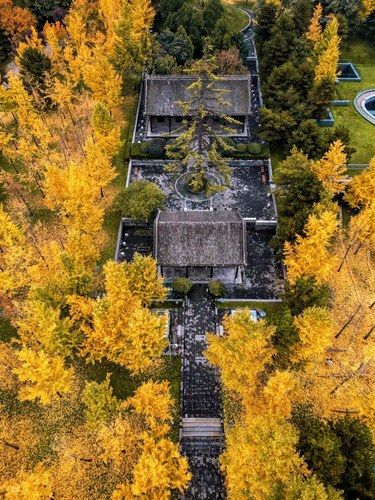 你敢想？西安人秋天的浪漫是一个败家子给的
