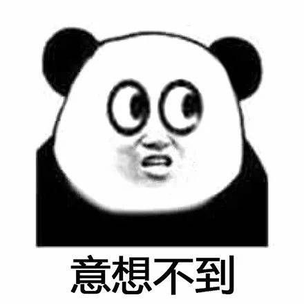 真有这般神奇？记者随机网购了一只8-10cm长的白额高脚蛛和若干2cm左右活体蟑螂，打算一探究竟。