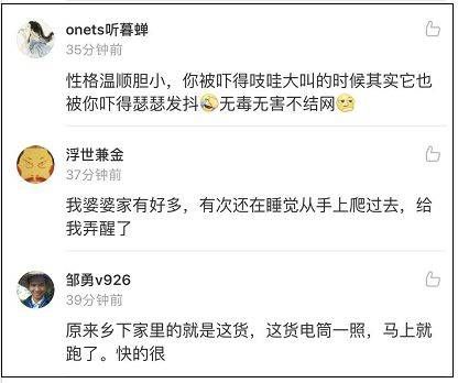 还有网友表示：