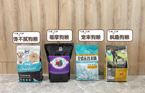边境牧羊犬怎么样？附边牧的价格与特点介绍