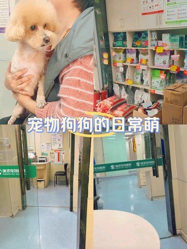 为宠物提供全方位、高质量的医疗服务。团购实惠