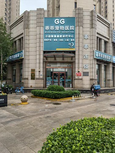 来这里给毛孩子打的疫苗还挺便宜的而且也不疼
