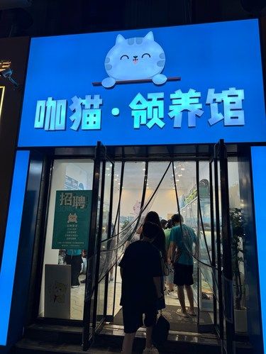 领养猫咪的店铺，按月存领养金，可用买猫咪用品