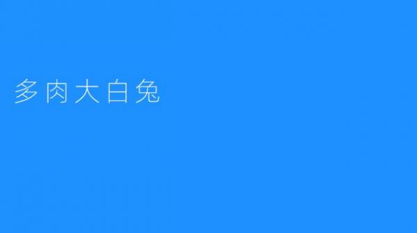 多肉大白兔