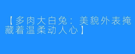 【多肉大白兔:美貌外表掩藏着温柔动人心】