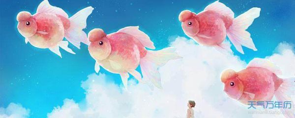 给金鱼起个萌萌的名字 宠物金鱼萌萌的名字大全