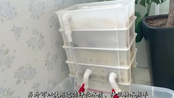 新手养龟必看,实用养龟知识!