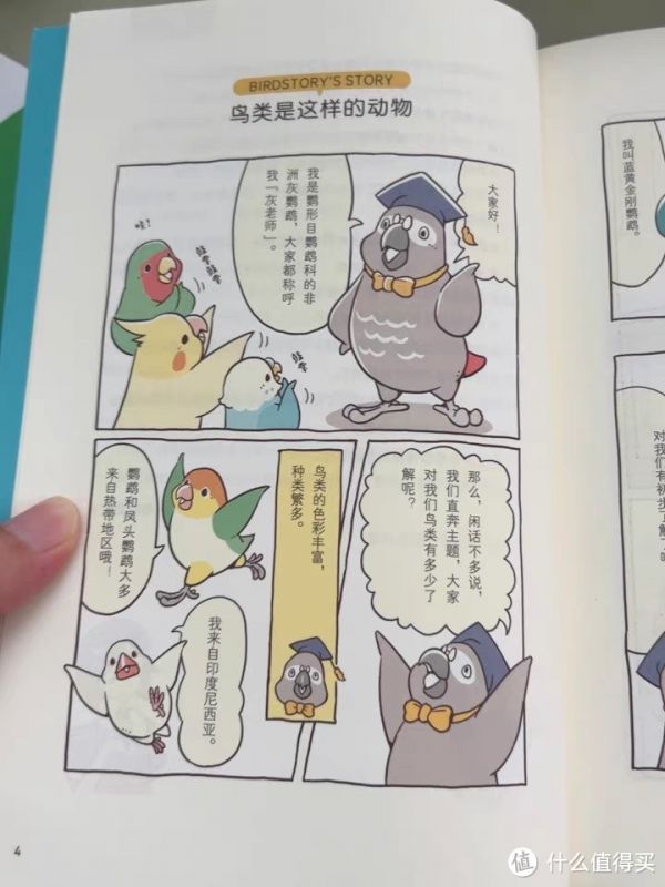 第一次养鹦鹉就恋爱了——鹦鹉饲养图鉴