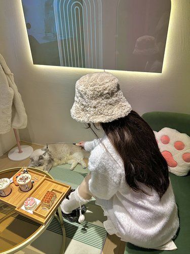 嘉兴新店！！！猫咖也太有意思了！！！