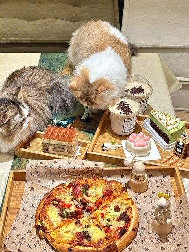 嘉兴！姐妹带我来后根本不想走…