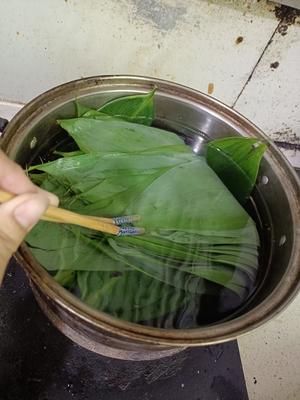 宠物过节~端午粽子的做法 步骤4