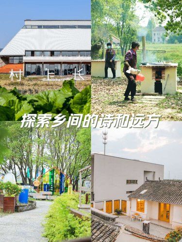 在城市的村上长漾里寻找幼时的记忆