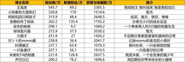 小红书宠物达人盘点丨百万粉丝达人新增 26 位,3 位年涨粉超百万