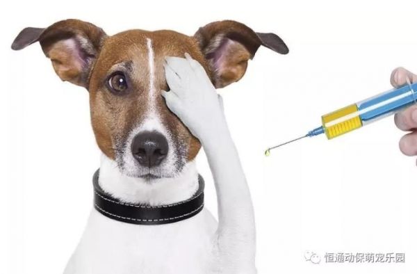 微信截图_20190806085424.png