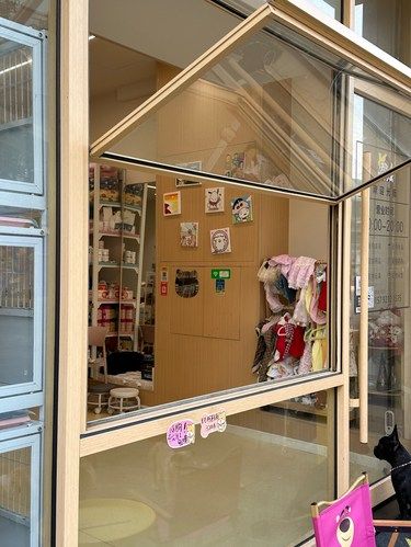 一家像宠物幼儿园的宠物店