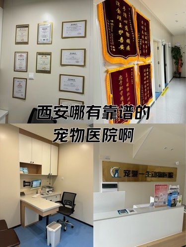 西安哪儿有靠谱的宠物医院啊？
