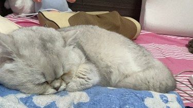 感谢医生的每一天