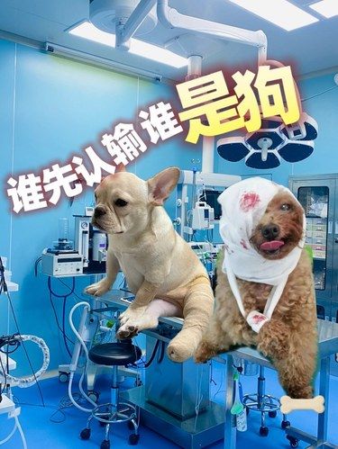 为了隔壁的翠花一天能打八百回‼️