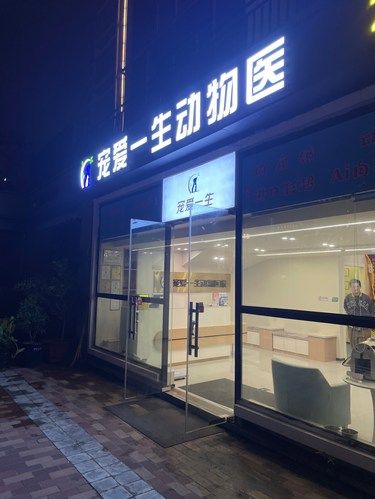 铲屎官最糟心的事❗️这里帮忙解决‼️
