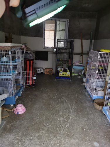 为小黑屋带来了光！