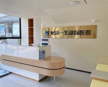 我们全家毛孩子的指定御医