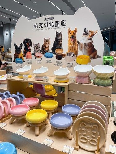 在大运天地寻得猫猫狗狗的天堂｜宠物部落