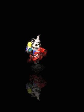 浣熊大师