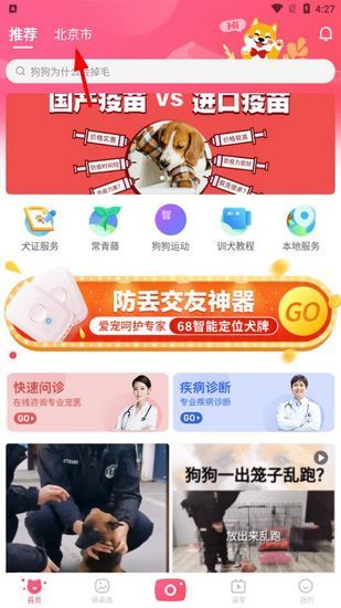 68宠物图9