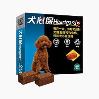 人宠共患病? 宠物驱虫的正确姿势