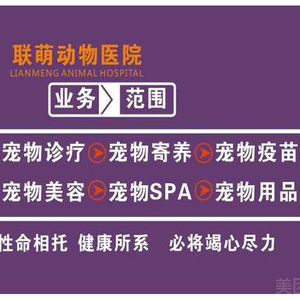 宠物年度体检A套餐