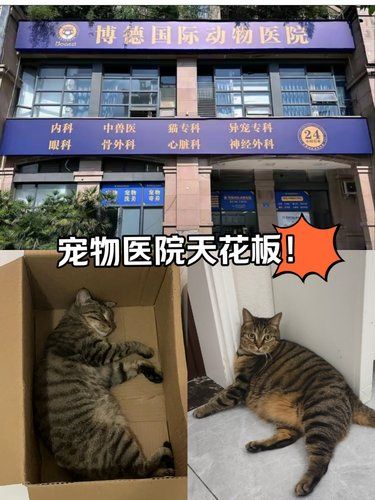 斯密马赛 妈妈酱[懵逼]我想生个不大不小的病