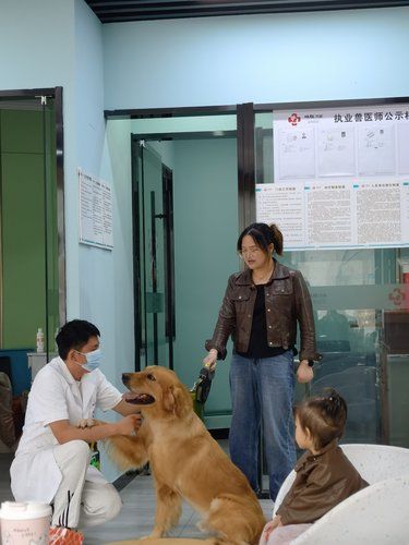 毛孩子的爱